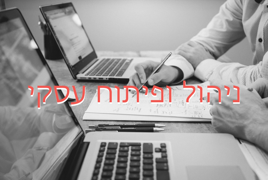 ניהול ופיתוח עסקי